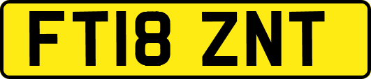 FT18ZNT