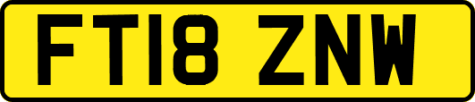 FT18ZNW