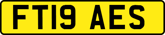 FT19AES