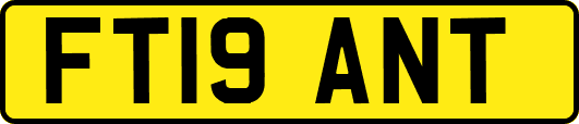 FT19ANT