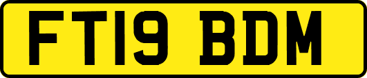 FT19BDM