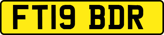 FT19BDR