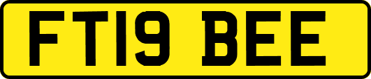 FT19BEE