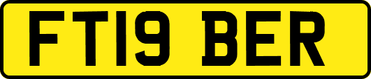 FT19BER