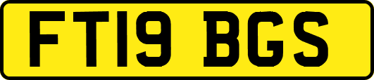 FT19BGS