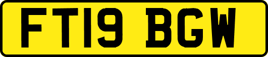 FT19BGW