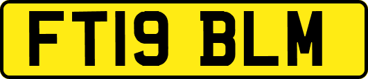 FT19BLM