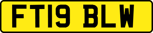 FT19BLW