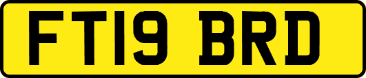 FT19BRD