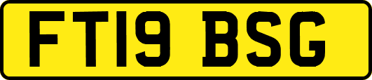 FT19BSG
