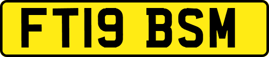 FT19BSM