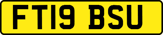 FT19BSU