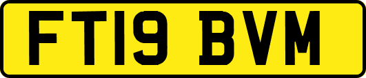 FT19BVM