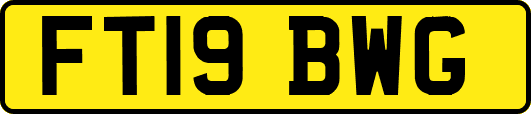 FT19BWG