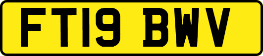 FT19BWV
