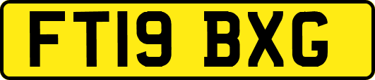 FT19BXG