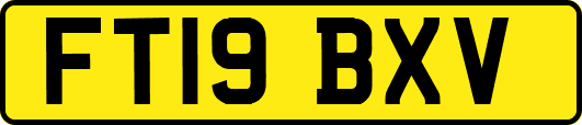 FT19BXV