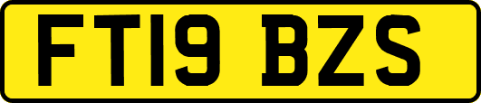FT19BZS
