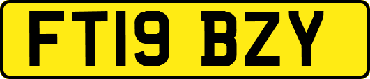 FT19BZY