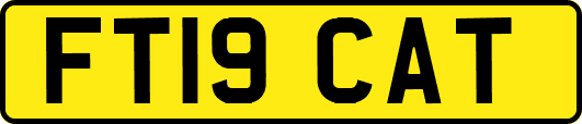 FT19CAT