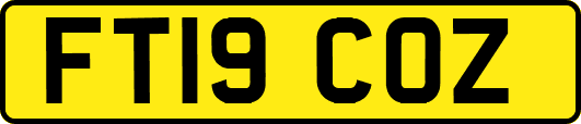 FT19COZ