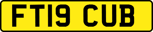 FT19CUB
