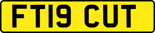 FT19CUT