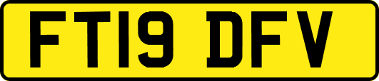 FT19DFV