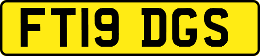 FT19DGS