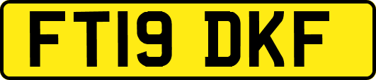 FT19DKF