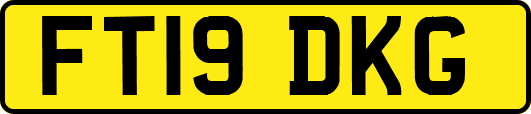 FT19DKG