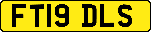 FT19DLS