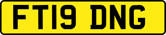 FT19DNG