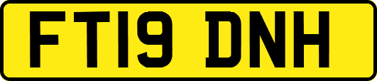 FT19DNH