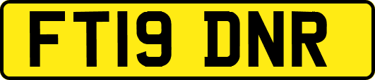 FT19DNR