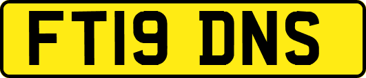 FT19DNS