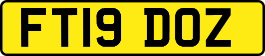 FT19DOZ