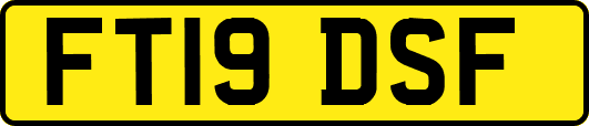 FT19DSF