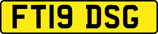 FT19DSG