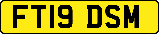 FT19DSM