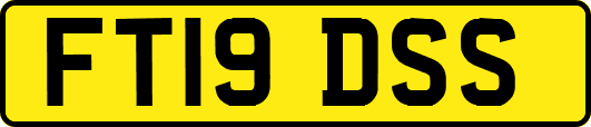 FT19DSS