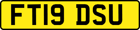 FT19DSU