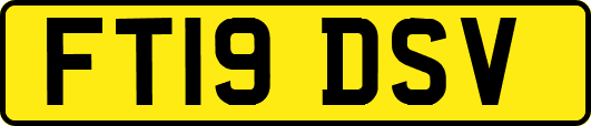 FT19DSV