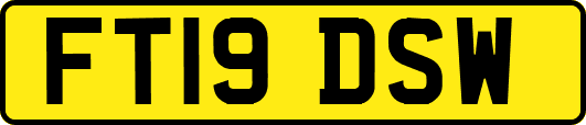 FT19DSW