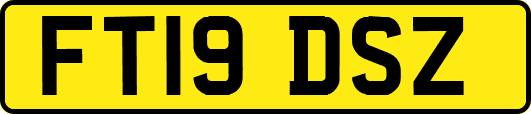 FT19DSZ