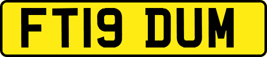 FT19DUM