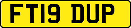 FT19DUP