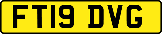 FT19DVG