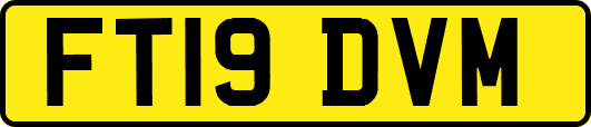 FT19DVM