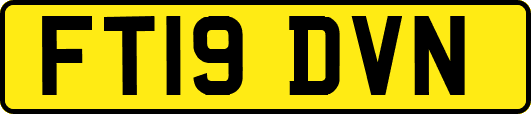 FT19DVN